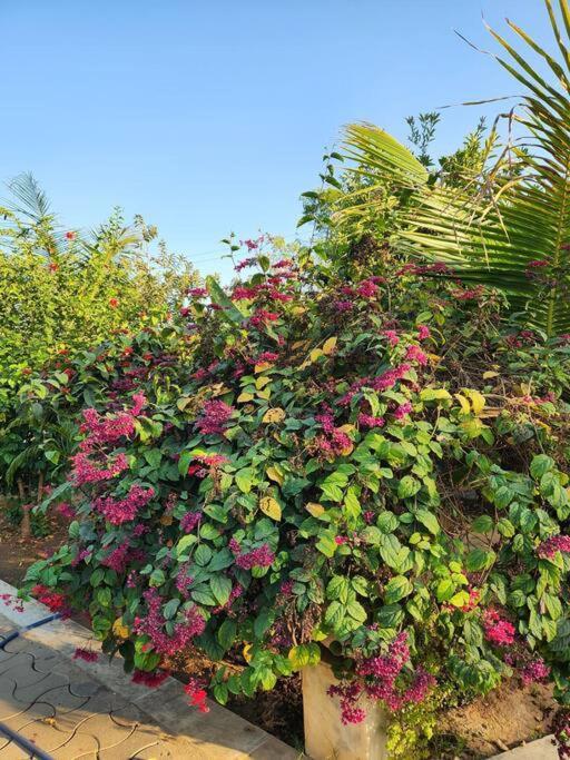 Farmhouse Close To Nature - Kesari Farm Gandhinagar Exterior foto
